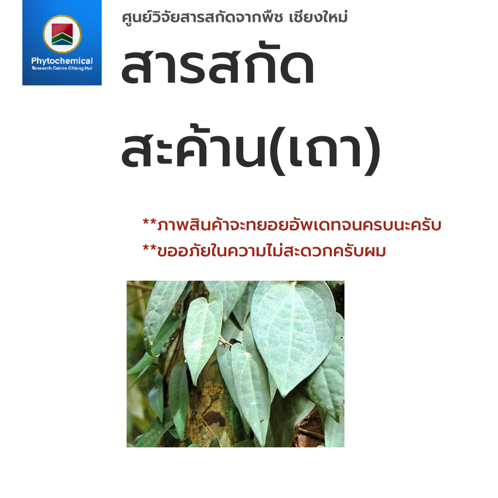สารสกัดสะค้าน(เถา)(แบบน้ำ) Sa Khaan stem extract | สารสกัดจากพืช สารสกัดสมุนไพร 100% | เข้มข้นสูง 25-100 g.
