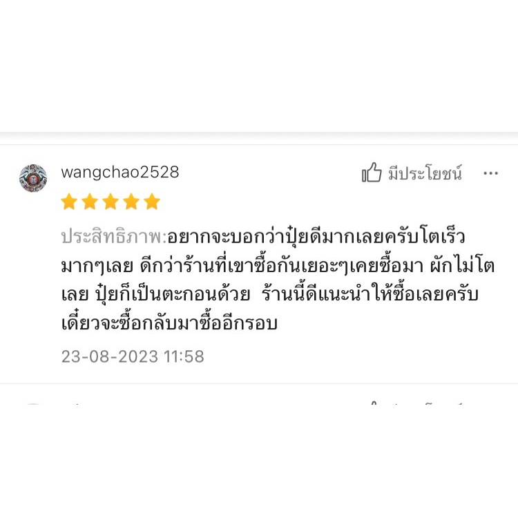 รูปภาพ 3