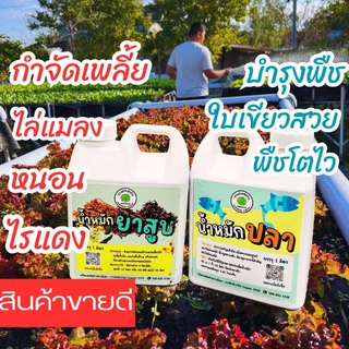 น้ำหมักบำรุงพืชผักสลัด