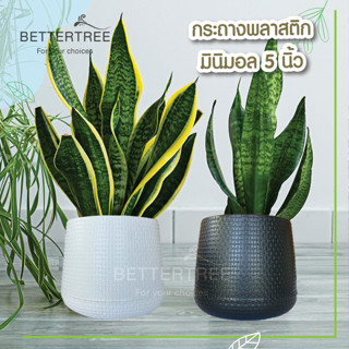 กระถางมินิมอล 5 นิ้ว มีจานรองในตัว กระถางพลาสติก กระถาง plant pot