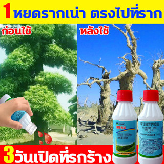 3วันเปิดที่รกร้าง ยาฆ่าต้นไม้ใหญ่1หยดรากเน่า ตรงไปที่ราก ยาฆ่าต้นไม้ ผลติดทนนาน ไม่เป็นอันตรายต่อดิน ยาฆ่าหญ้า