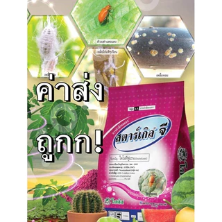 สตาร์เกิลจี 1 กิโลกรัม‼️ stargle g ของใหม่ผลิต ค่าส่งถูก 1กิโล