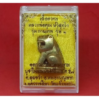 เสืออาคม (พิมพ์ใหญ่) หลวงพ่อคูณ ปริสุทฺโธ รุ่นกายเทพ รุ่น 1 เนื้อทองทิพย์ สูงประมาณ 3 ซม. ออกวัดตะครองงาม ปี 57