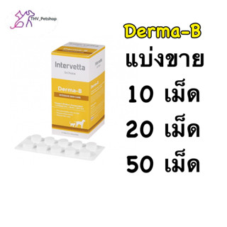 Dr.Choice Derma-B (Exp 01/02/27) อาหารเสริมบำรุงผิว สุนัข แม…