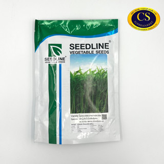 เมล็ดผักบุ้งจีนไผ่ทอง ใบไผ่คัดพิเศษ (Seed Line) 500 กรัม