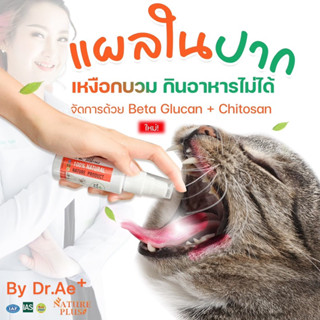 IMMUNE SYSTEM SUPPORT แผลในปาก ภูมิคุ้มกันต่ำ