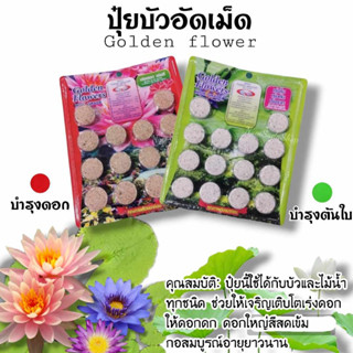 ปุ๋ยบัว ปุ๋ยบอน ปุ๋ยบอนสี ปุ๋ยไม้น้ำ Golden Flowers 14เม็ด มี2สูตร สูตรเร่งต้น สูตรเร่งดอก น้ำใสปลาไม่ตาย