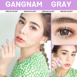 คอนแทคเลนส์ Dreamcolor1 รุ่น Gangnam  Gray