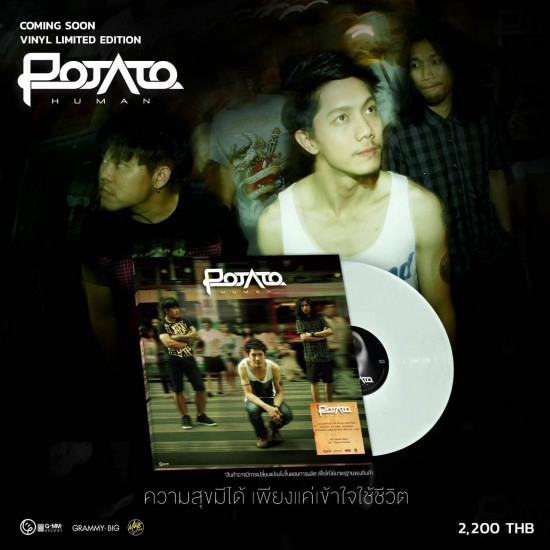 Vinyl Potato : HUMAN