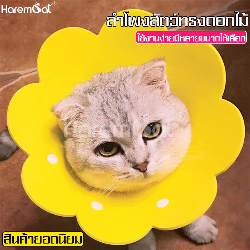 🌼คอลล่าแมว ปลอกคอกันเลีย คอลล่าหมา 🚚จัดส่งจากประเทศไทย
