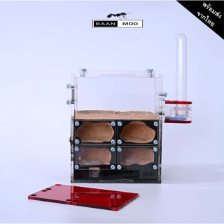 รังเลี้ยงมด 4 ช่องไม่มีไฟ พร้อมที่ให้น้ำ