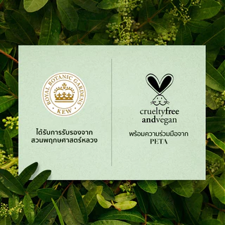 Herbal Essences เฮอร์บัล เอสเซนท์ แชมพูไวท์สตรอเบอรี่ 400มล X2 White Strawberry Shampoo ผลิตภัณฑ์ดูแลผม บำรุงผม
