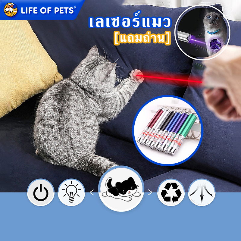 เลเซอร์ล่อแมว 2in1 มี 6 สี ล่อแมว LED ไฟฉายล่อแมว เลเซอร์พกพา แสงเลเซอร์ล่อแมว laser pointer คละสี ลำแสงชัดส่องได้ไกล