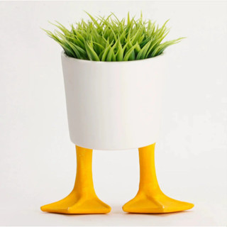 Kikkerland Duck Feet Planter กระถางต้นไม้ กระถางต้นไม้เป็ด