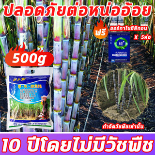 🔥วัชพืชลีบหมด🔥XHS สารกำจัดวัชพืช ยาคุมหญ้า ยาฆ่าหญ้าเผาไหม้ 500g รุ่นเข้มข้น ใช้สำหรับกำจัดวัชพืชในไร่อ้อย