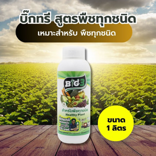 BIG3 สูตรสำหรับพืชทุกชนิด ขนาด 1000 ML.3 ขวด