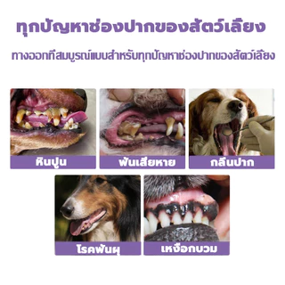 แนะนำจากหมอสัตว์เสี้ยง ชุดแปรงทำความสะอาดฟันสัตว์เลี้ยง ขจัดฟันคราบพลัคแคลคูลัสทันตกรรมใช้ได้ทั้งแมวและสุนัข