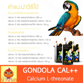 แคลเซียมนก l Gondola Cal++ l อาหารเสริมนก นกแก้ว parrot อาหารนก ลูกนก ลูกป้อน