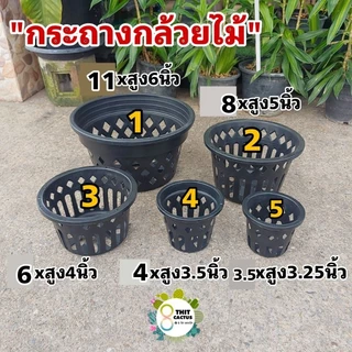 // กระถางกล้วยไม้ แบบกลม //ขนาด 3.5-11 นิ้ว // พลาสติก เกษตร ต้นไม้ สวน