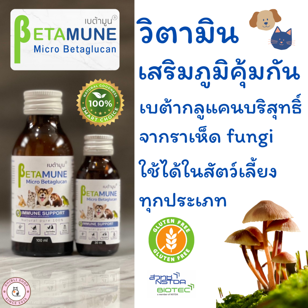 Betamune เบต้ามูน เบต้ากลูแคนสำหรับสัตว์เลี้ยง วิตามินกระตุ้นภูมิ ใช้เสริมการรักษา เชื้อรา เอดส์แมว 