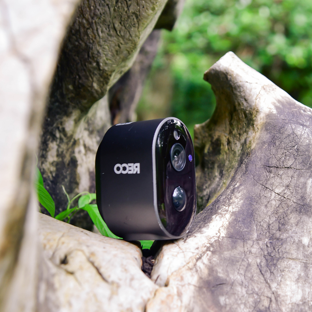 รูปภาพ 7