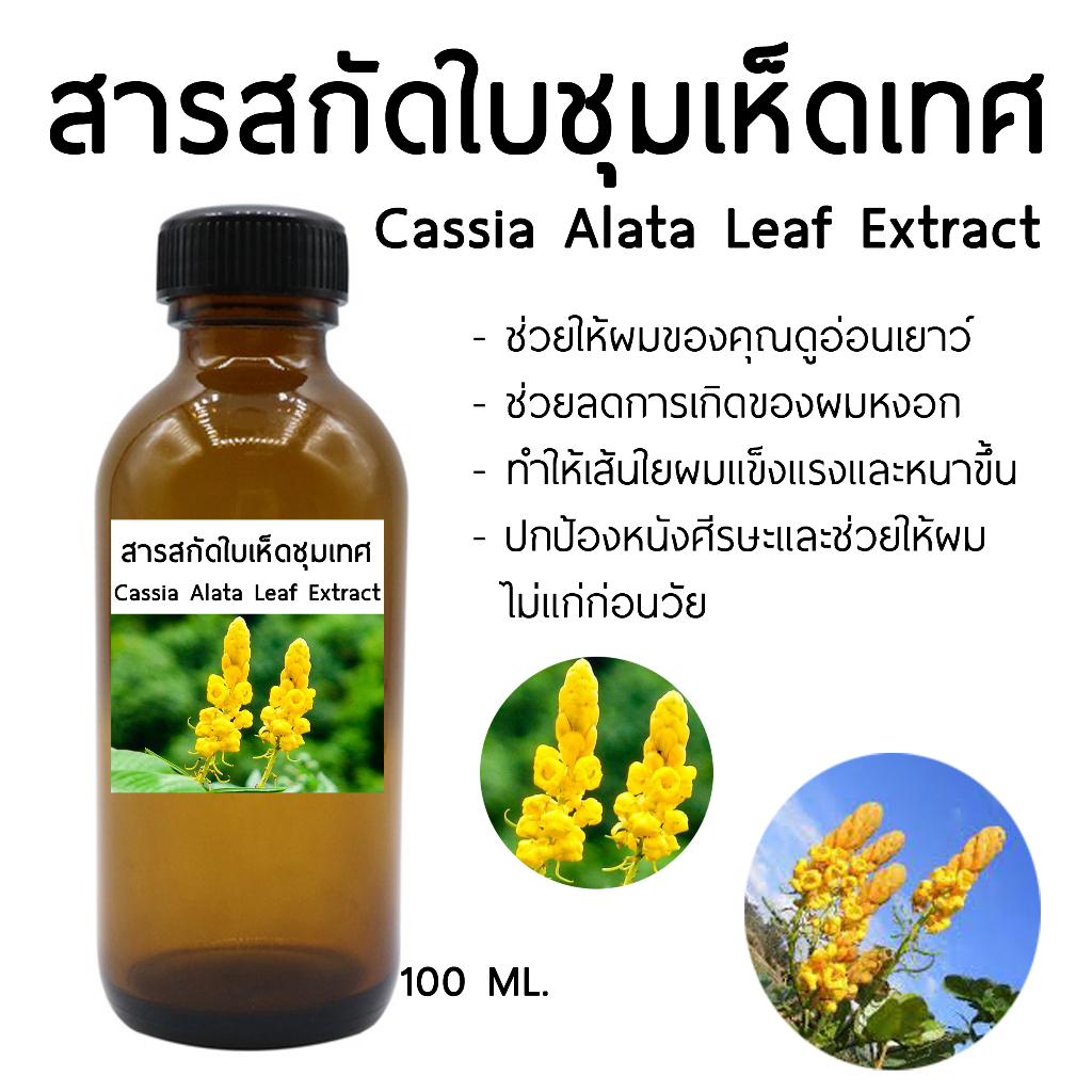 สารสกัดใบซุมเห็ดเทศ 1000 ML I สารสกัดสมุนไพร