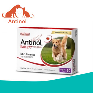 Antinol DOG ช่วยบำรุงข้อ กระดูก ขน ผิวหนัง และไต(1 กล่อง 60 caps) สำหรับสัตว์เลี้ยง EXP.03/2025