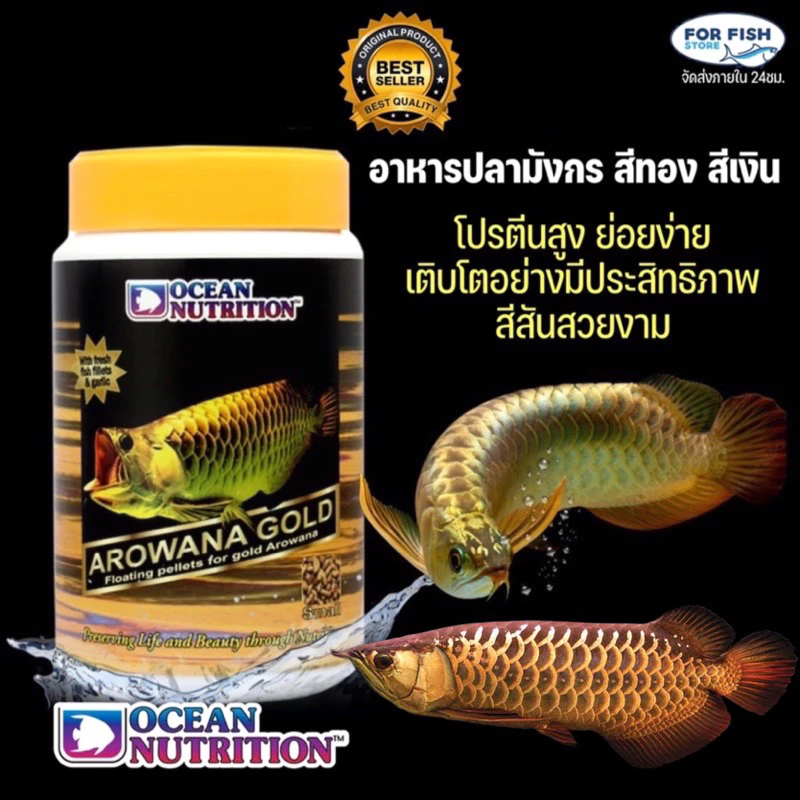 อาหารปลามังกร สีทอง,สีเงิน Ocean Nutrition Arowana Gold