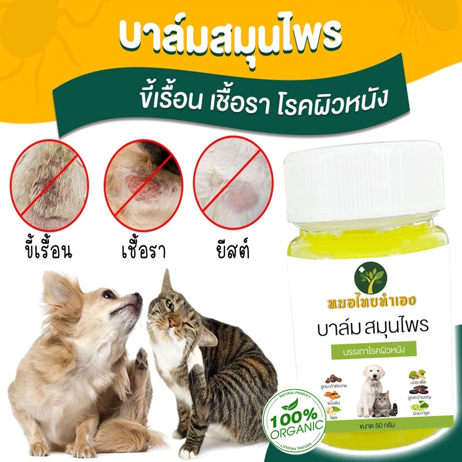 บาล์มแก้ผิวหนัง สัตว์เลี้ยง ขี้เรื้อนสุนัข เชื้อราแมว ขนร่วง ยีสต์ คันเกา แผล 20-50 กรัม สูตรออแกนิค หมอไทยทำเอง