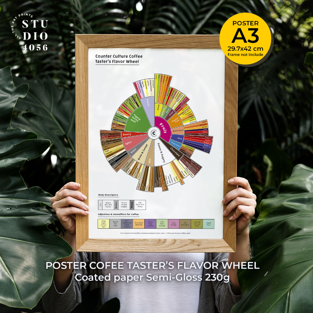 Counter Culture Coffee Taster's Flavor Wheel Poster size A3 Unframed!