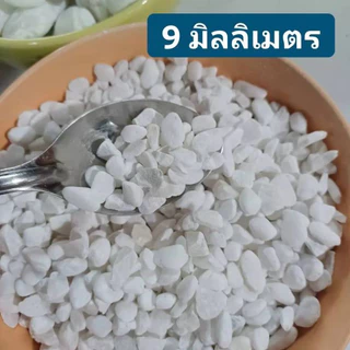หินขาวญี่ปุ่น 1กิโล คัดพิเศษ หินโรยหน้ากระถาง หินตู้ปลา หินแคคตัส หินแม่น้ำ