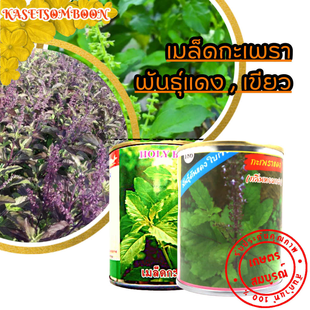 เมล็ดกะเพรา พันธุ์ (แดงและเขียว) 20/25/30 ก.ตราปลาวาฬ/ต้นไผ่