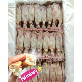 แพไข่sizeกลาง แพไข่ หมึกแพไข่ ไข่แน่นๆ