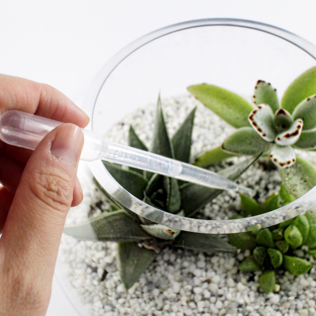 หลอดหยด Droper สำหรับรดน้ำสวนขวด หรือใช้ดูดของเหลว - รูปที่ 4