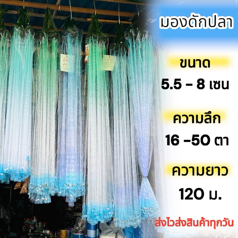 (หัวใหญ่ยาว120เมตร)ขนาด 5.5 – 8เซน แถมฟรีถุงใส่ปลา ตาข่ายดักปลา มองดักปลา มองสำเร็จรูปพร้อมใช้งาน มองใยบัวความลึก16-50ตา