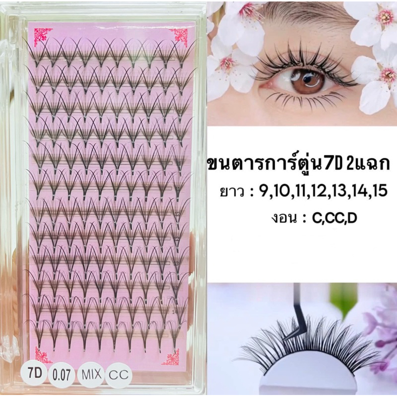 ขนตาการ์ตูน 7D 2แฉก mixsize9-15mm ผสม ขนตาช่อหุบ mixsize8-14