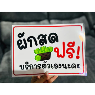 ป้าย น้ำจิ้มฟรี น้ำดื่มฟรี น้ำแข็งฟรี ผักฟรี บริการตัวเอง| ป้ายไวนิล | ป้ายเคลือบพลาสติก | สติ๊กเกอร์ A4 A5 สีสวย คมชัด