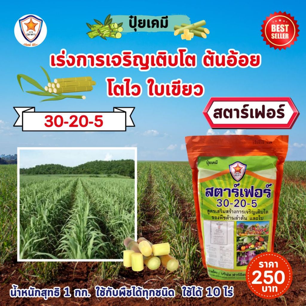 ปุ๋ย ฉีดพ่น ต้นอ้อย โตไว ใบเขียว เร่งราก เร่งดอก ลำใหญ่ น้ำหนักดี CCSสูง เพิ่มผลผลิต โดย สตาร์เฟอร์