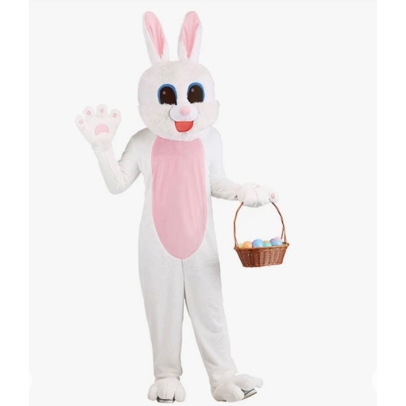 🔥BBF🔥ส่งจากไทย มาสคอตกระต่าย มาสคอตฮีโร่ แฟนซีมือสองนะจ้า