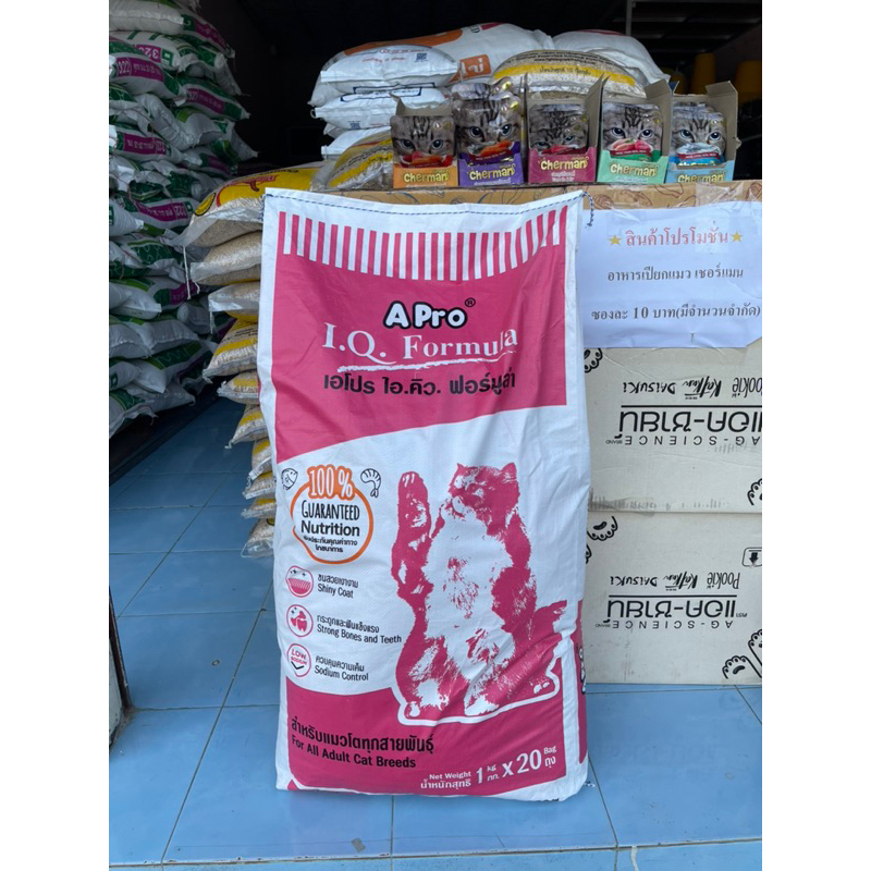 (1กกx20ถุง) Apro IQ Cat เอโปร ไอ.คิว แมว ขนาด 1 Kg จำนวน 20 ถุง (2 สี)