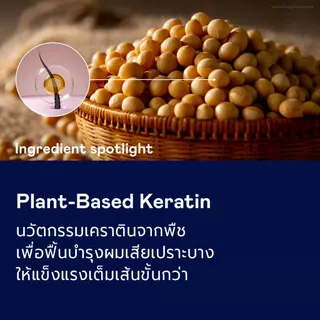 DIVYNE Strand Strengthen Hair Masque. 236ml มาส์กผม บำรุงผมเสียหนัก ลดผมร่วง ผมแห้งแตกปลาย