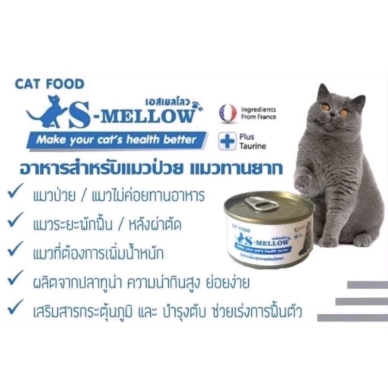 S-MELLOW CAT อาหารสำหรับสัตว์ป่วยที่ช่วยทุกด้าน