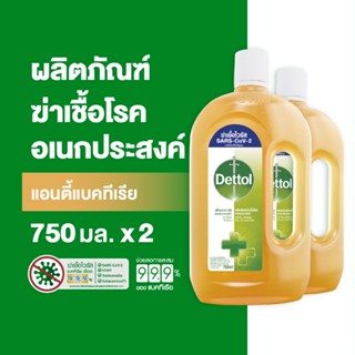 Dettol เดทตอล น้ำยาฆ่าเชื้อเดทตอล น้ำยาฆ่าเชื้อโรค ไฮยีนมัลต…