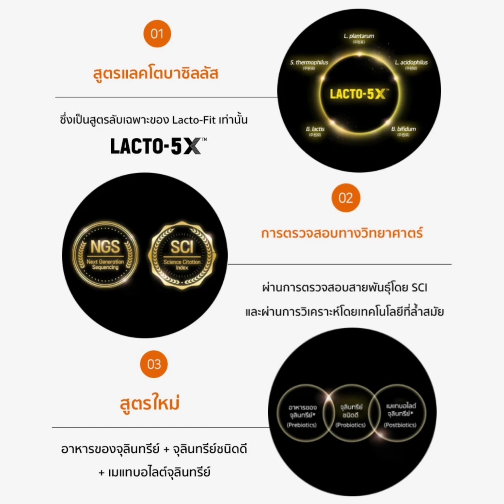 (SET 4 กล่อง) Lacto-fit GOLD Probiotic สูตรใหม่! แลคโตฟิต โพรไบโอติกส์ พรีไบโอติกส์ thumbnail 5