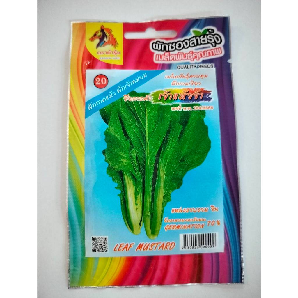 ม้ารุ้ง ผักซอง Z020#ผักกาดดอยตุง ผักเจ้าหม่อม เมล็ดพันธุ์ เมล็ดพันธุ์ผัก เมล็ดพันธุ์ ผักสวนครัว ตรา ม้ารุ้ง