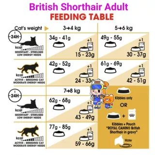 Royal Canin British Shorthair Adult 4kg โรยัลคานิน อาหารแมวโต พันธุ์บริติช ชอร์ทแฮร์ ขนสั้น ถุงขนาด 4 กิโลกรัม