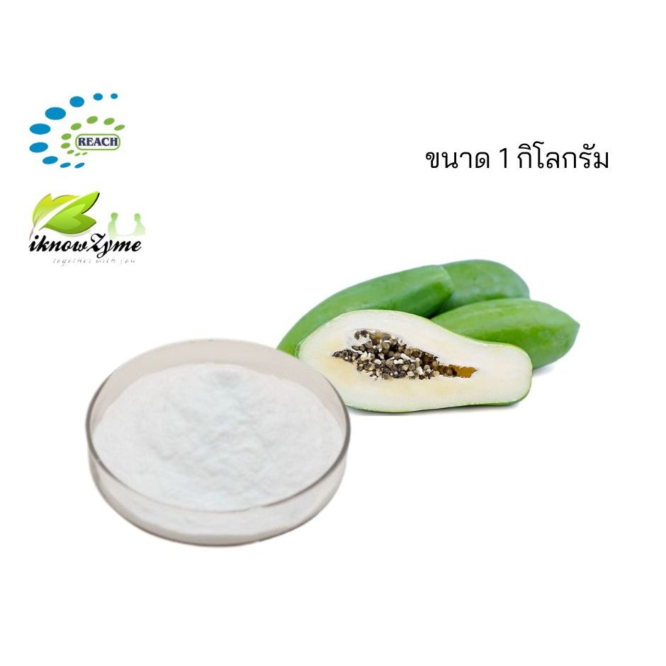 iKnowZyme PP เอนไซม์ปาเปน ขนาด 1 กิโลกรัม
