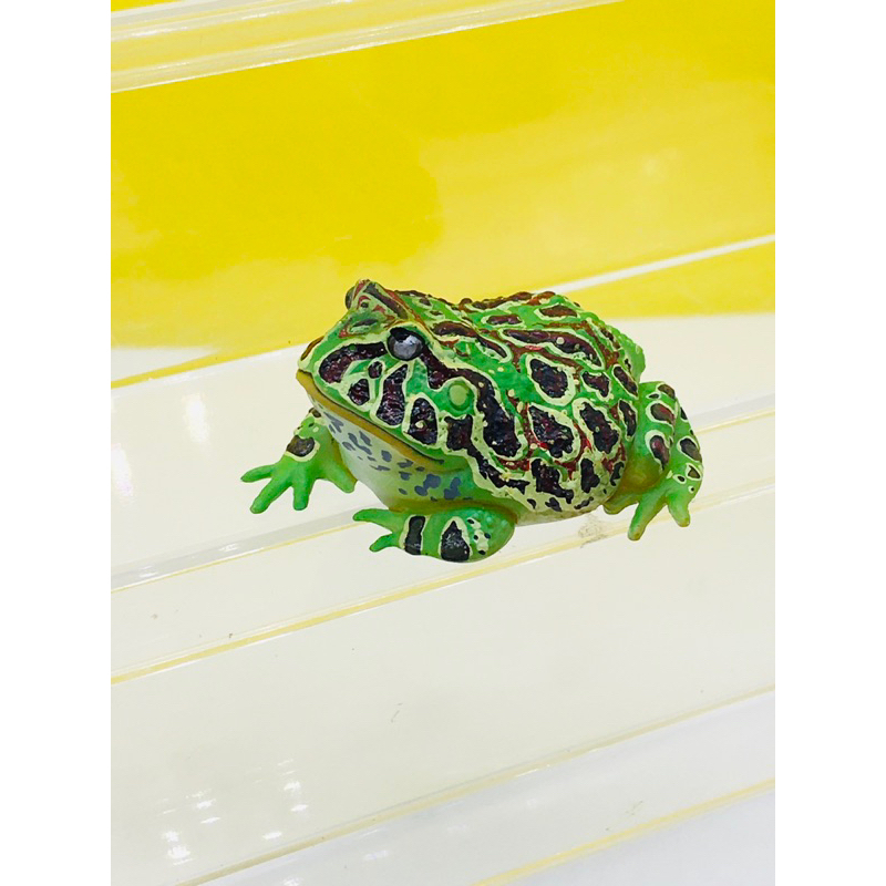 (แท้/มือ2) KAIYODO YUJIN Japan Exclusive Argentine Horned Frog Animal Figure กบเขียว พร้อมส่งค่ะ