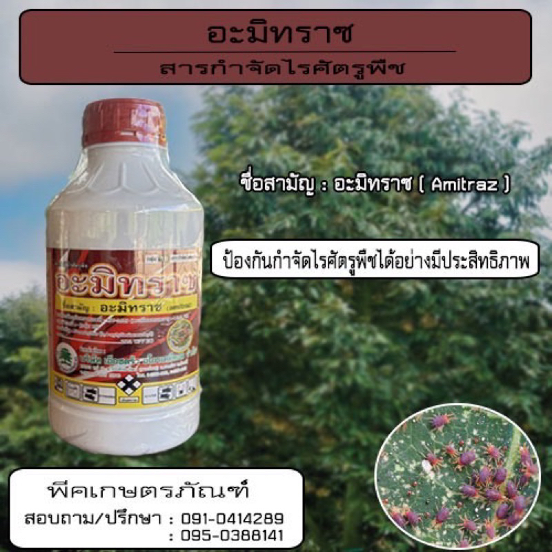 อะมิทราซ ( amitraz ) ป้องกันกำจัดไรแดงหม่อน (ขนาด 1 ลิตร