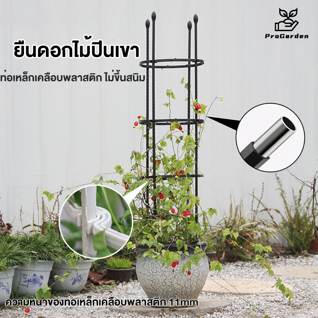 ตกแต่งบ้าน ให้น่าอยู่ PG.ระแนงไม้เลื้อย ซุ้มต้นไม้ ท่อเหล็กเคลือบ PE กันสนิม โครงเหล็กดัด โครงไม้เลื้อย ซุ้มกุหลาบ ซุ้มไม้เลื้อย ซุ้มไม้เลื้อย ราคาถูก